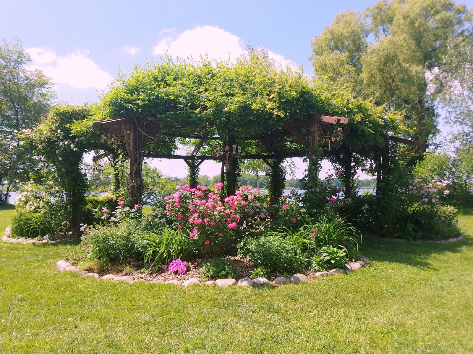 Climbing Roses and Clematis among other Roses, Petunia and Astrantia